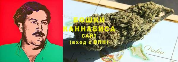 гидропоника Алзамай