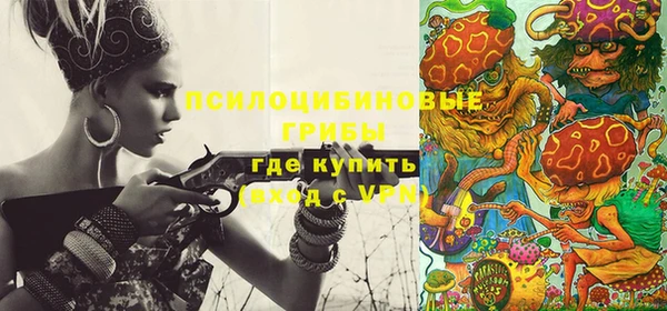 гидропоника Алзамай