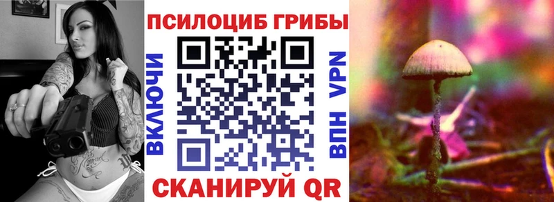 Галлюциногенные грибы мицелий  KRAKEN tor  Новошахтинск 